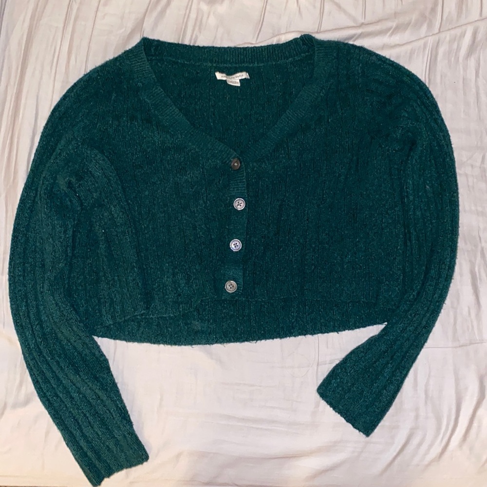American Eagle Crop Sweater